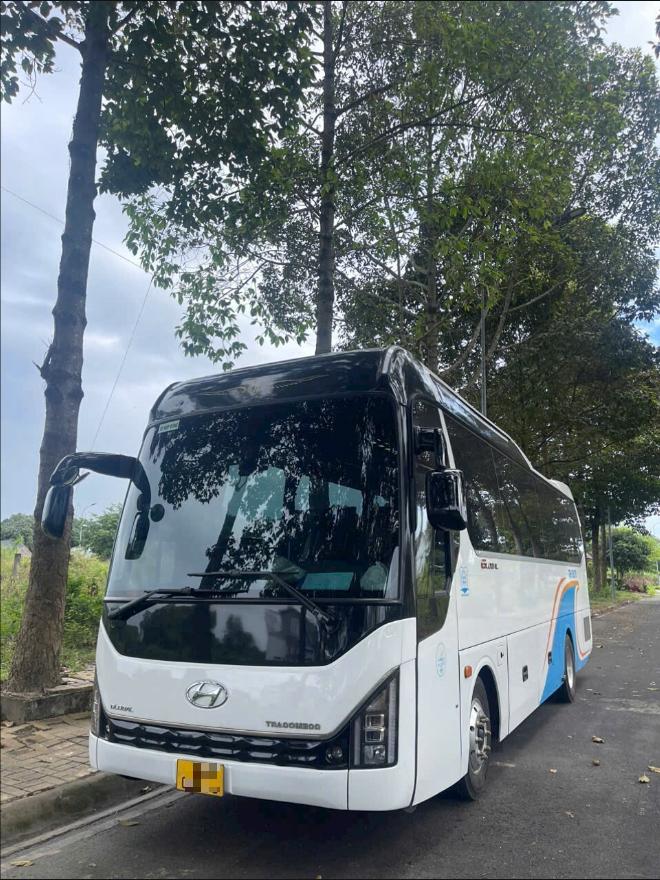 Thuê xe Hyundai 29 chỗ Thuê xe Hyundai 29 chỗ